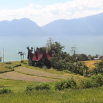 Rumah Adat (Meeting house) and Fields around Lake Maninjau, Sumatra