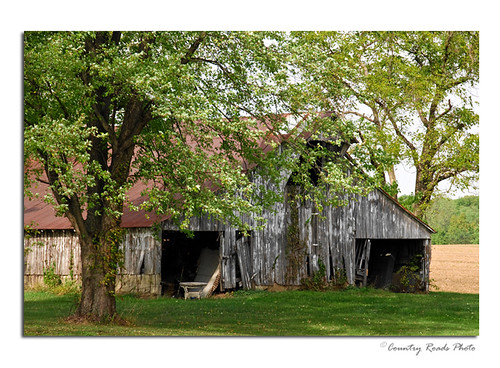 autumn trees white fall barn rural landscape countryside october decay country rustic rusty indiana land weathered 18200mmf3556gvr countryroadsphoto hoosierphotographer