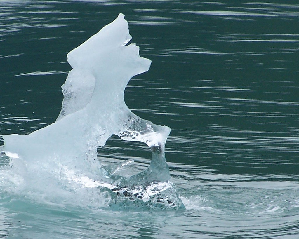 Growler...Ice Berg | A crystal growler floats in the icy wat… | Matt ...