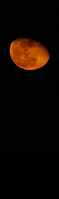 Red Moon (Bookmark)