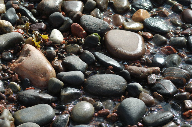 Stoney Beach Texture -  Scotland - 001-8135