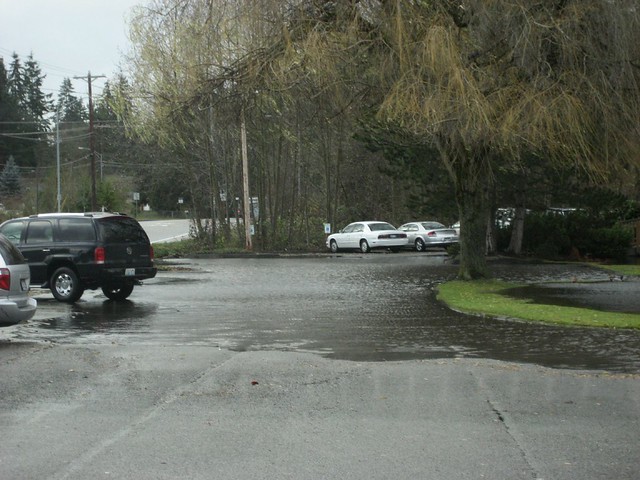 Sprague's Pond Overflowing