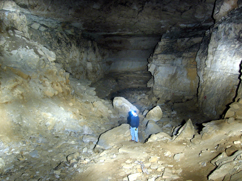 Borehole from the Siltbar, Lost Creek Cave, White Co, TN