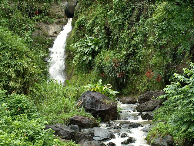 Grenada Waterfall