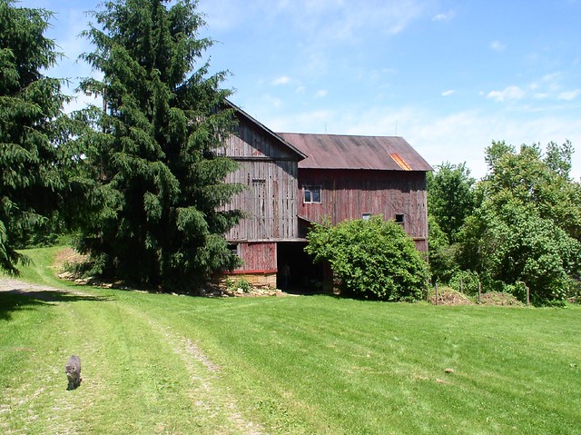 Holmes County Farm