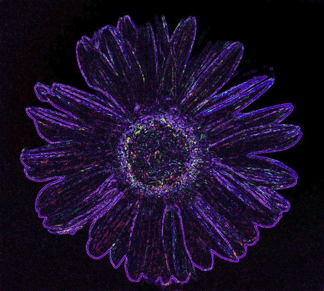 Purple Daisy Sparkle