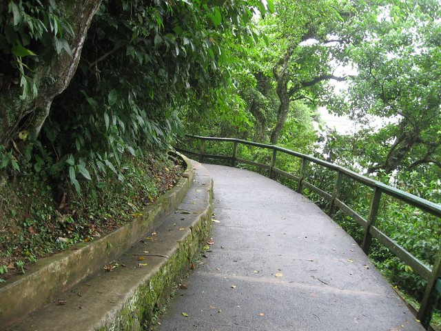 Viewing path along the Falls
