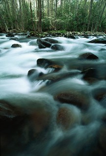 SPJR0001 | James River State Park features some spectacular … | Flickr
