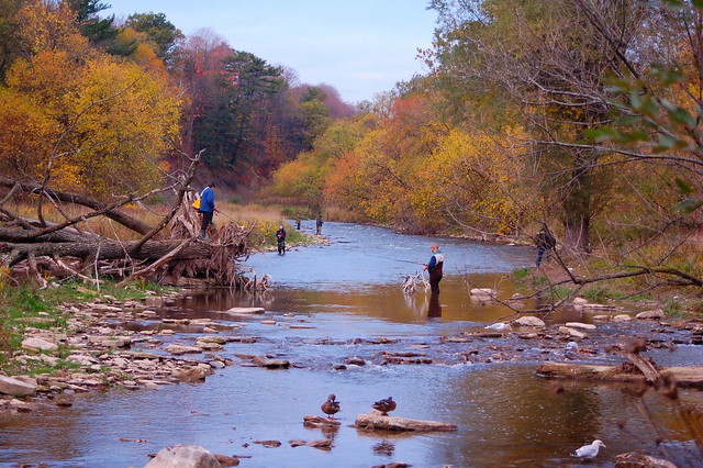 Fall at the Credit River