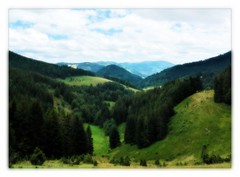 Southern Black Forest Valley