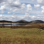 Pilanesberg, close to Pretoria