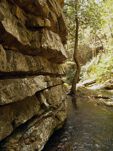 cliff mountains tree water river woods rocks tennessee olympus mountainstream e500 thebluehole holstonmountain
