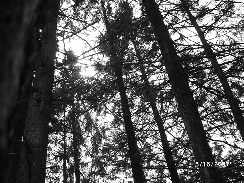 round2 415 | by pyropimp2006