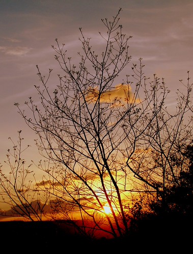 Sunset by K. Shreesh, Taljai Hills, Pune (India)
This place is hardly 1.5 Km from my house. We go here very often for even