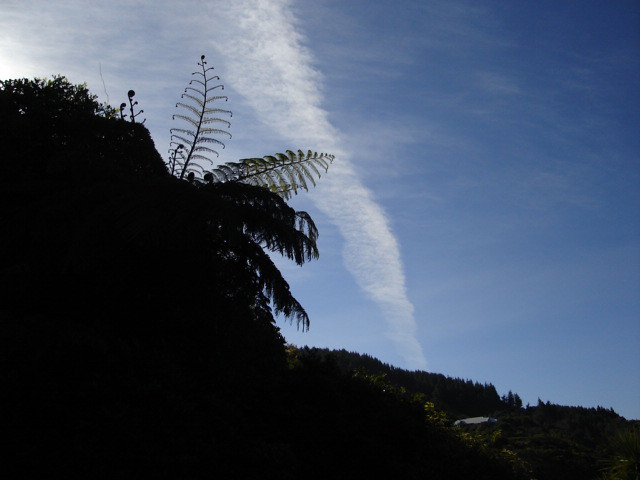Chemtrails over Wellington New Zealand