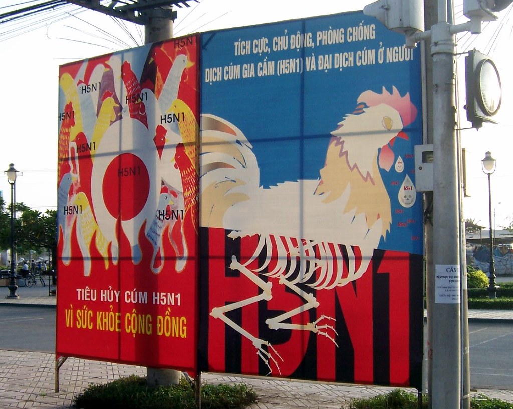 "Understanding avian influenza and bird flu"