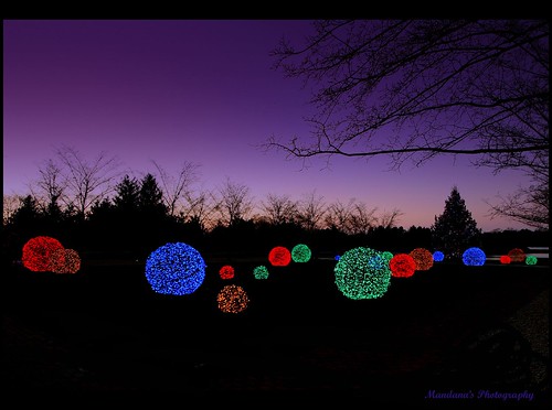 Holiday Lights by Mandana (on and off)