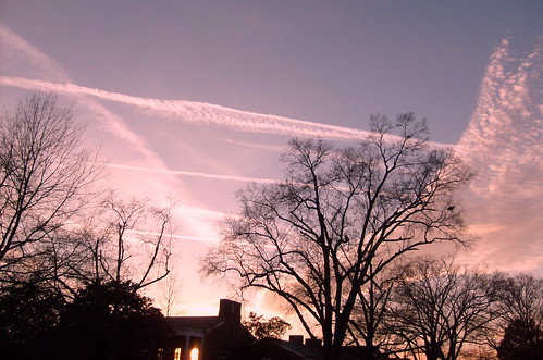 sunset sky painting georgia dusk tress silhoutte macon easel