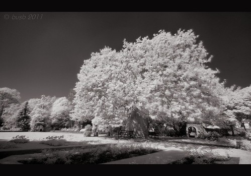 _DSC2950_b | Same view with a 760nm IR filter. The original … | Flickr