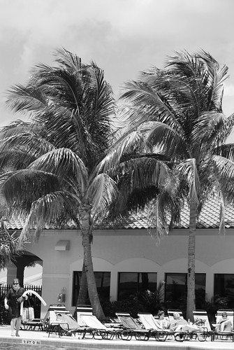 Poolside | by 1nativeTexan