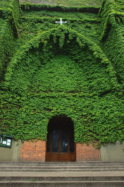 Iglesia verde - Green church