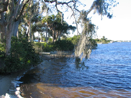trees water geotagged florida parks rivers beaches peaceriver harbourheights