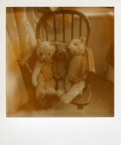 Teddy Bears | by ifleming