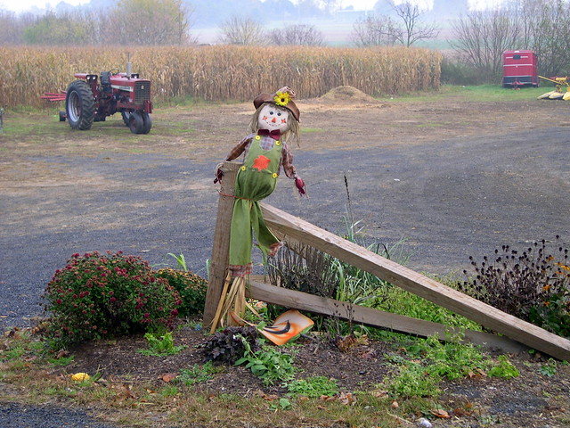 Scarecrow Barnyard Sentry