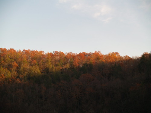 autumn trees leaves pa bychristine olympusevolte500 lehighgorgestatepark