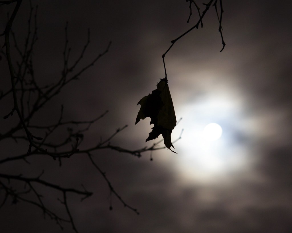 Another Full Moon