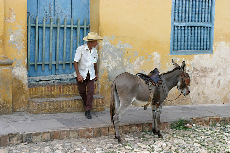 A man with his mule