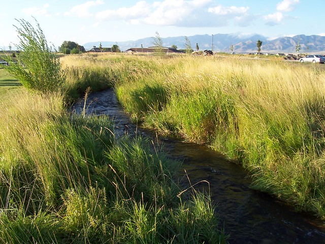 irrigation_ditch