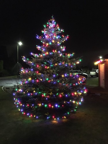 Christmas tree | by Stuart Pike