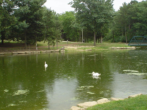 nebraskatrip nebraska doanecollege crete swans