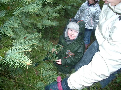 Digging the tree | by Little Minx