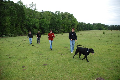 family dog louisiana picnic farm blacklab mudriding