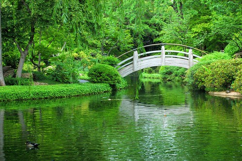 bridge trees reflection green water japan garden landscape zen etsy moonbridge assignmentdfw3 msh1007 msh100720