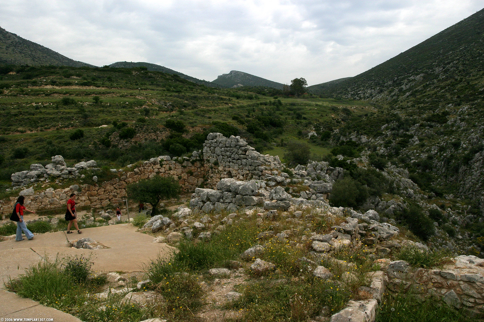 GR06 0282 Mycenae