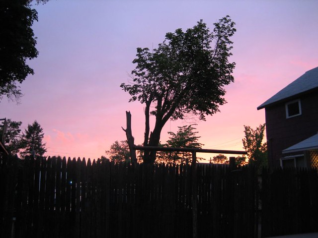 Backyard sunset IMG_2092