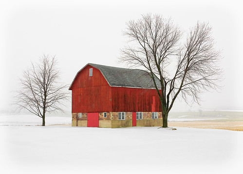 christmas wood trees winter light red sky white snow cold color colour cute classic beautiful field wisconsin barn rural season landscape outdoors design wooden farm branches fineart country vision card crops highkey prairie wi drift stockphoto artistry winterlandscape stockphotography crossplains royaltyfree agritourism danecounty ruralscene rightsmanaged pinebluff ruralwisconsin winterinwisconsin toddklassy