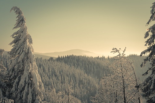 blackforest sunset winter snow trees landscape schauinsland mountain outdoors hiking germany sky sun d7100