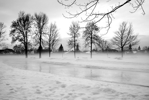 park trees winter bw snow cold ice nikon reflexion d80 bwartaward