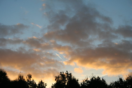 trees sky clouds sunrise germany dawn osnabrück alexhopkins atterfeld
