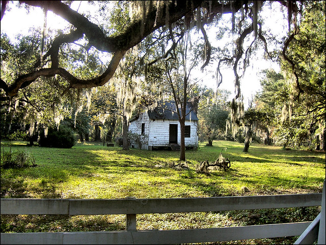 Slave Cabin - Magnolia Plantation