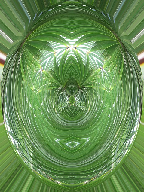 fern cameo abstract