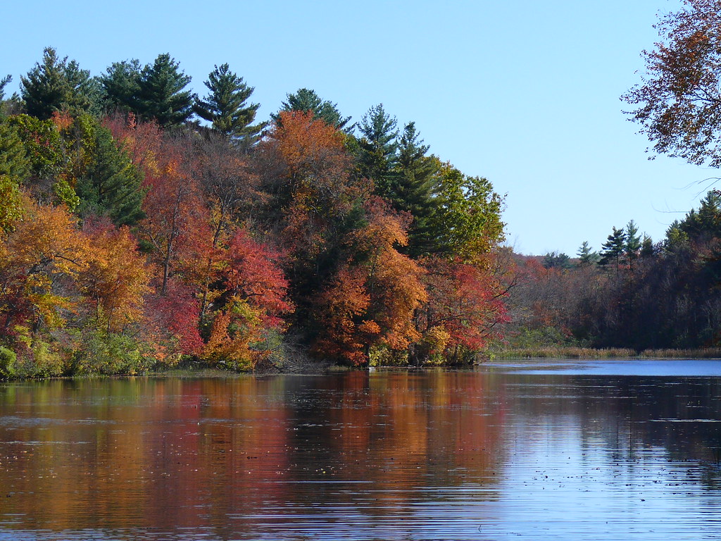P1050091 | Another view from Pachaug Pond in Griswold, CT. | Jim M ...