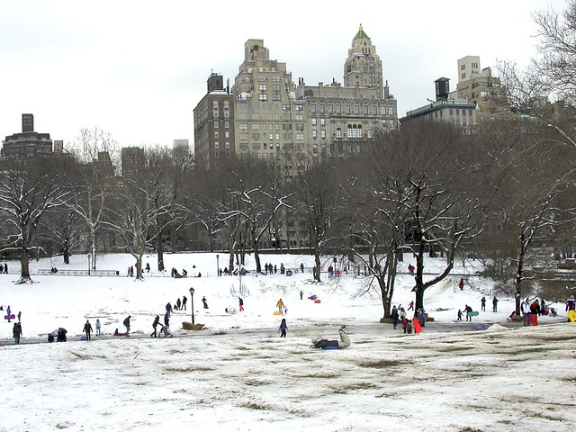 Sledding Hill