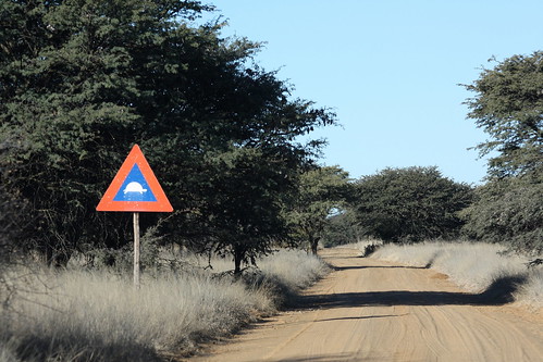 southafrica südafrika suidafrika sandveld freestate road