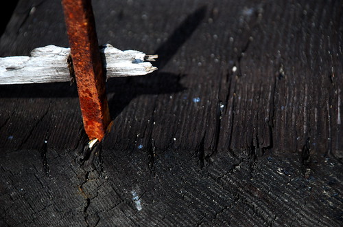 material arithmetic by Diana Pappas