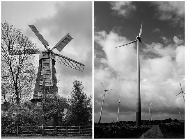 Windmill Week, Monday - Flour Power
